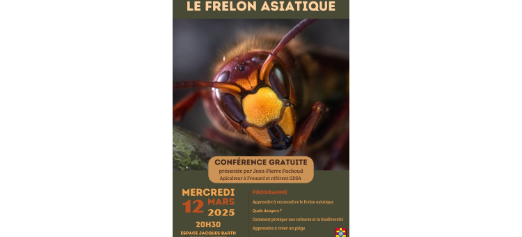 Conférence sur le frelon asiatique – Mercredi 12 mars 2025